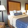 Фото 14 - Holiday Inn Hotel & Suites Stockbridge-Atlanta I-75