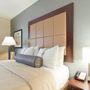 Фото 4 - Holiday Inn Hotel & Suites Stockbridge-Atlanta I-75