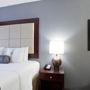 Фото 5 - Holiday Inn Hotel & Suites Stockbridge-Atlanta I-75