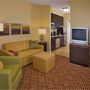 Фото 2 - TownePlace Suites by Marriott Las Vegas Henderson