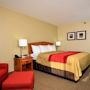 Фото 14 - Comfort Inn, a Nashville hotel near Tennessee State University
