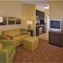 Фото 4 - TownePlace Suites by Marriott Charlotte Mooresville