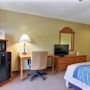 Фото 11 - Comfort Inn & Suites Saint Augustine