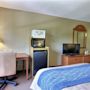 Фото 5 - Comfort Inn & Suites Saint Augustine