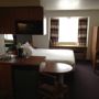 Фото 5 - Microtel Inn & Suites by Wyndham Salt Lake City Airport