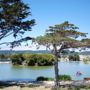 Фото 1 - Monterey Bay Lodge