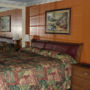 Фото 4 - Raintree Inn and Suites