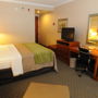 Фото 14 - Comfort Inn & Suites Anaheim