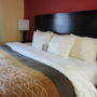 Фото 11 - Comfort Inn & Suites Augusta