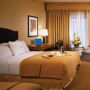 Фото 6 - DoubleTree by Hilton Chicago O Hare Airport-Rosemont