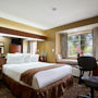 Фото 3 - Microtel Inn & Suites by Wyndham Lithonia/Stone Mountain
