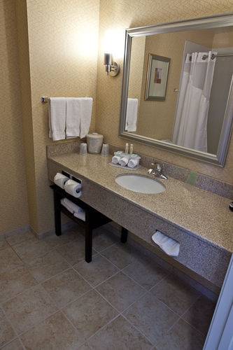 Фото 9 - Holiday Inn Express and Suites Detroit North-Troy