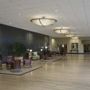 Фото 10 - Hilton Stamford Hotel & Executive Meeting Center