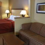 Фото 14 - Comfort Suites Tallahassee