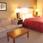 Фото 8 - Comfort Suites Tallahassee