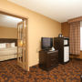 Фото 12 - Best Western PLUS Denver Hotel