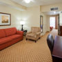 Фото 7 - Country Inn & Suites By Carlson Savannah-Midtown