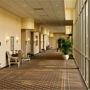 Фото 11 - Sheraton St. Louis City Center Hotel & Suites