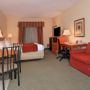 Фото 10 - Comfort Suites Mount Vernon