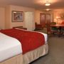 Фото 7 - Comfort Suites Mount Vernon