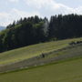 Фото 3 - Gästehaus Bramböck