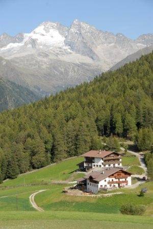 Фото 12 - Berggasthof Steckholzer