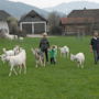 Фото 3 - Ferienwohnungen Hebesberger