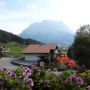 Фото 5 - Alpenflora