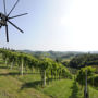 Фото 9 - PURESLeben Winzerhaus Tunauberg