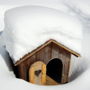 Фото 8 - Landgasthof Alpenrose