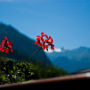 Фото 8 - Appartement Kaprun Haus Rudolf