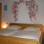 Фото 8 - Bed & Breakfast Jungholz (Pension Katharina)