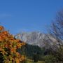 Фото 2 - Alpenhof Pension