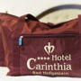 Фото 8 - Hotel Carinthia