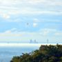 Фото 8 - Hilltop on Tamborine