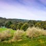 Фото 9 - Stony Creek Cottages