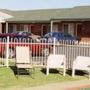 Фото 5 - Best Western Sandown Heritage Motel