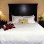 Фото 4 - Hampton Inn & Suites by Hilton Hamilton-Brantford