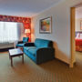 Фото 14 - Holiday Inn Sarnia Hotel & Conference Center