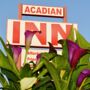 Фото 5 - Acadian Inn