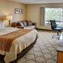 Фото 6 - Comfort Inn Brantford