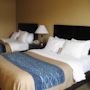 Фото 2 - Comfort Inn & Suites Red Deer