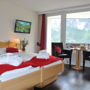 Фото 13 - Hotel Spinne Grindelwald