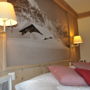 Фото 7 - Hotel Spinne Grindelwald