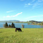 Фото 8 - B&B Ferienhof am See