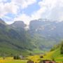 Фото 12 - Gasthaus Alpenblick