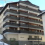 Фото 3 - Apartment Mirador Zermatt