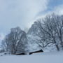 Фото 4 - Hotel Caprice - Grindelwald