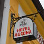 Фото 3 - Hotel Koruna