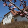 Фото 8 - Penzion U Černého Potoka